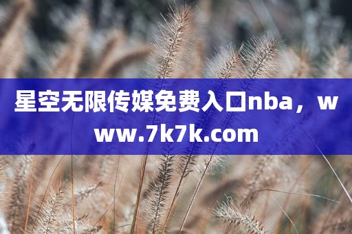 星空无限传媒免费入口nba，www.7k7k.com