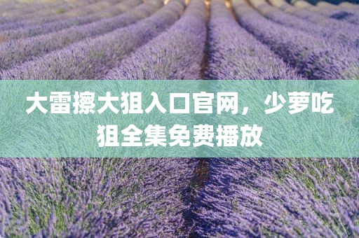 大雷擦大狙入口官网，少萝吃狙全集免费播放
