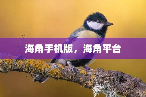 海角手机版，海角平台