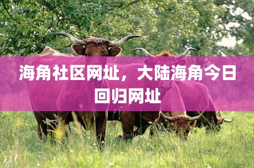 海角社区网址，大陆海角今日回归网址