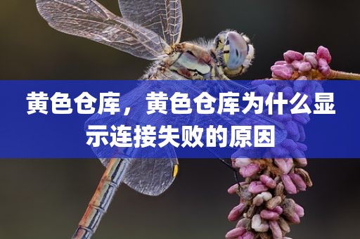 黄色仓库，黄色仓库为什么显示连接失败的原因