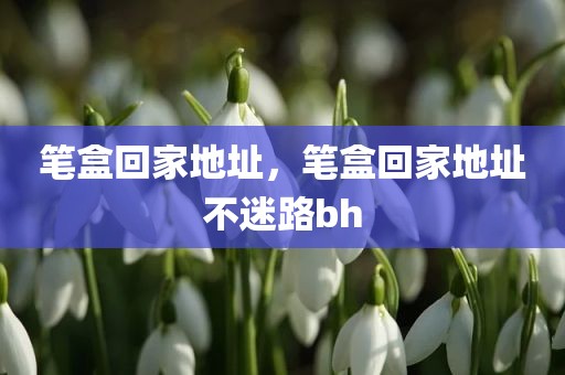 笔盒回家地址，笔盒回家地址不迷路bh