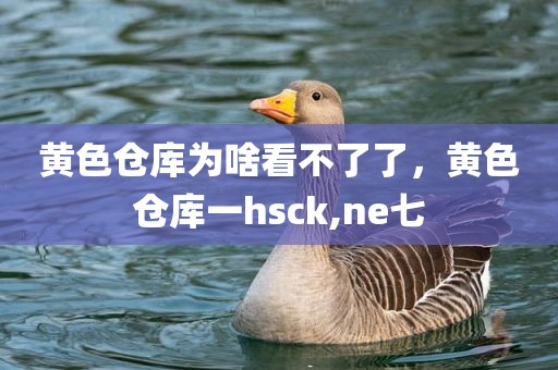 黄色仓库为啥看不了了，黄色仓库一hsck,ne七