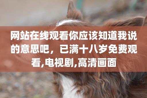 网站在线观看你应该知道我说的意思吧，已满十八岁免费观看,电视剧,高清画面