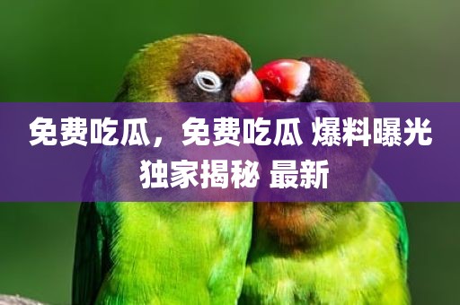 免费吃瓜，免费吃瓜 爆料曝光 独家揭秘 最新