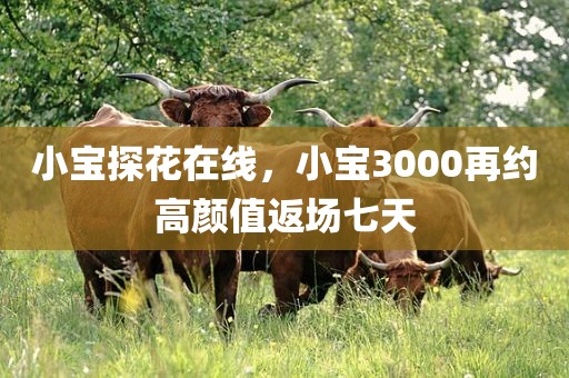 小宝探花在线，小宝3000再约高颜值返场七天