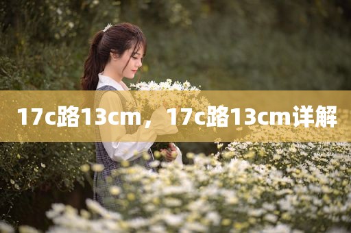 17c路13cm，17c路13cm详解