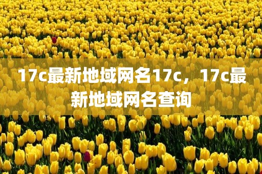 17c最新地域网名17c，17c最新地域网名查询