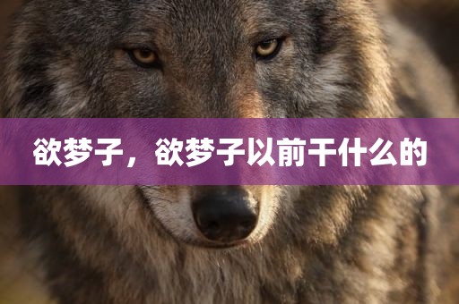 欲梦子，欲梦子以前干什么的