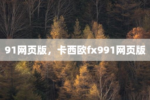 91网页版，卡西欧fx991网页版