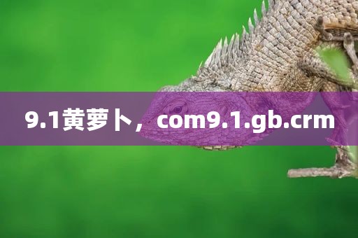 9.1黄萝卜，com9.1.gb.crm