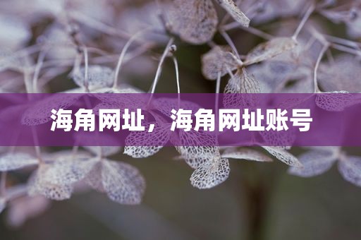 海角网址，海角网址账号