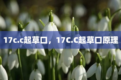 17c.c起草口，17C.C起草口原理
