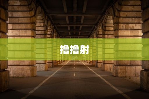 撸撸射