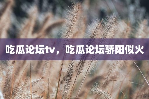 吃瓜论坛tv，吃瓜论坛骄阳似火