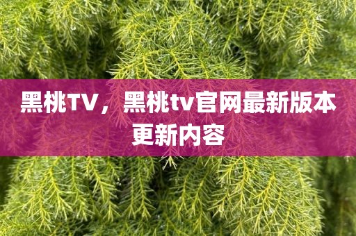 黑桃TV，黑桃tv官网最新版本更新内容