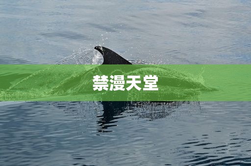 禁漫天堂