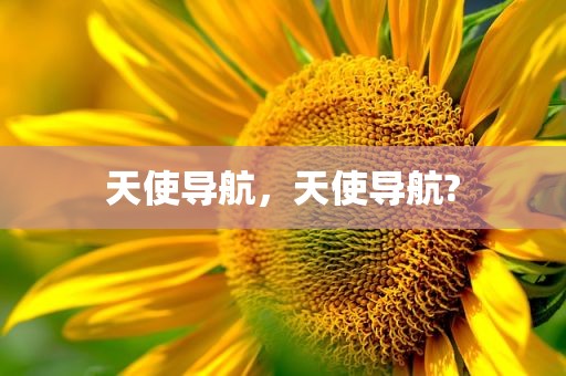 天使导航，天使导航?