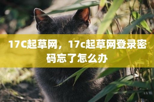 17C起草网，17c起草网登录密码忘了怎么办