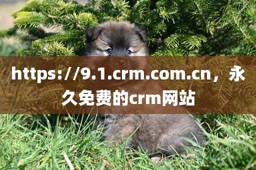 https://9.1.crm.com.cn，永久免费的crm网站