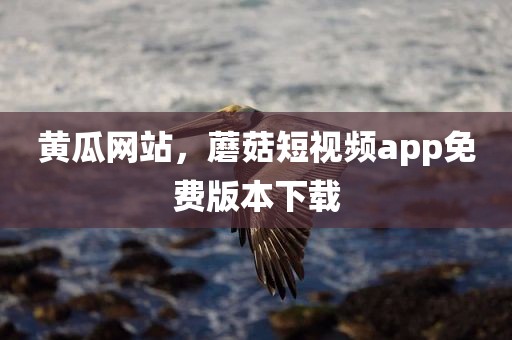 黄瓜网站，蘑菇短视频app免费版本下载