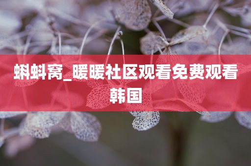 蝌蚪窝_暖暖社区观看免费观看韩国