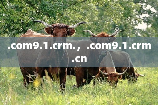 .com9.1.crm.，.com9.1.crm.cn