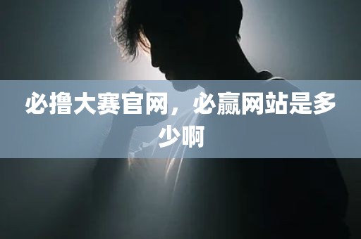 必撸大赛官网，必赢网站是多少啊