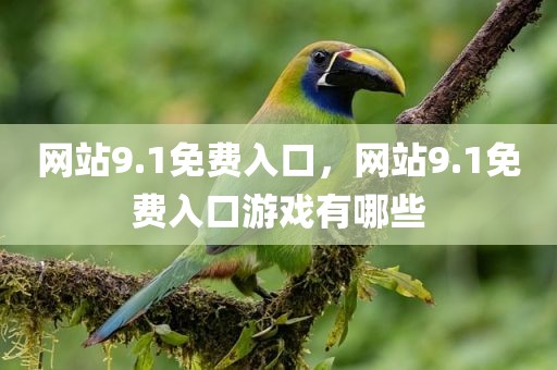 网站9.1免费入口，网站9.1免费入口游戏有哪些