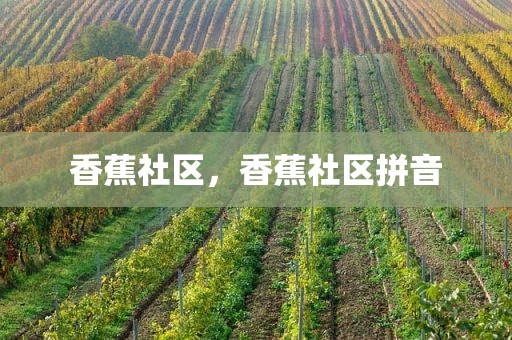 香蕉社区，香蕉社区拼音