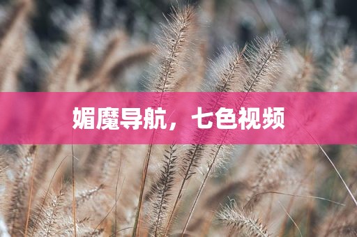 媚魔导航，七色视频