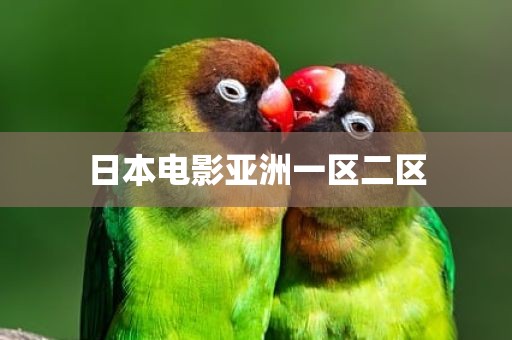 日本电影亚洲一区二区