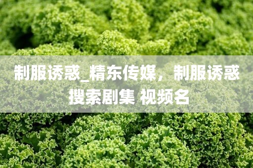 制服诱惑_精东传媒，制服诱惑 搜索剧集 视频名