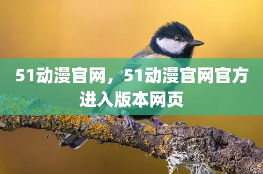51动漫官网，51动漫官网官方进入版本网页