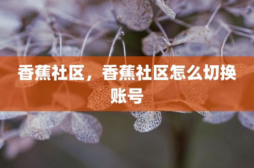 香蕉社区，香蕉社区怎么切换账号