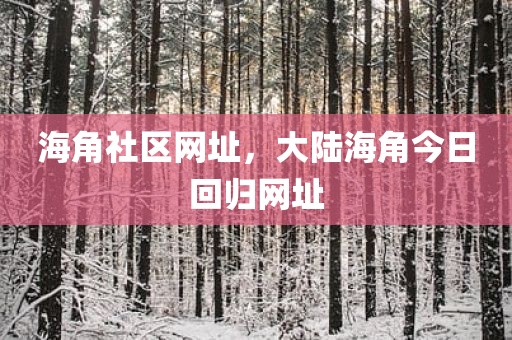 海角社区网址，大陆海角今日回归网址