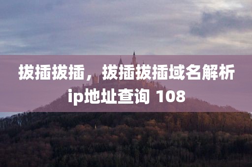 拔插拔插，拔插拔插域名解析ip地址查询 108