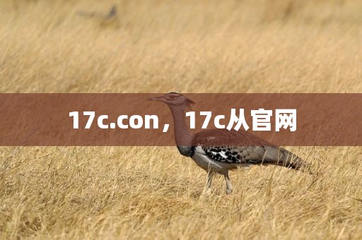 17c.con，17c从官网