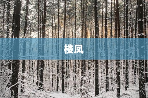 楼凤