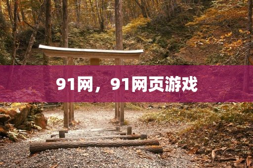 91网，91网页游戏