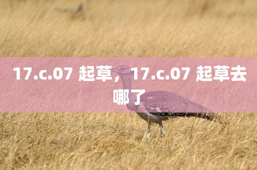 17.c.07 起草，17.c.07 起草去哪了