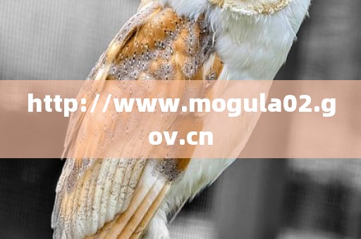 http://www.mogula02.gov.cn