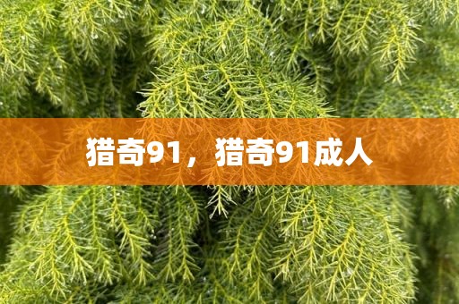 猎奇91，猎奇91成人