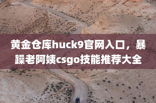黄金仓库huck9官网入口，暴躁老阿姨csgo技能推荐大全