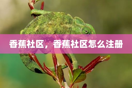 香蕉社区，香蕉社区怎么注册