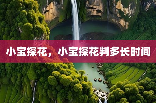 小宝探花，小宝探花判多长时间