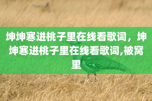 坤坤寒进桃子里在线看歌词，坤坤寒进桃子里在线看歌词,被窝里