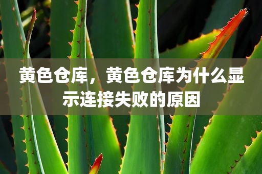 黄色仓库，黄色仓库为什么显示连接失败的原因