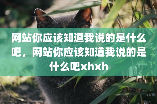 网站你应该知道我说的是什么吧，网站你应该知道我说的是什么吧xhxh