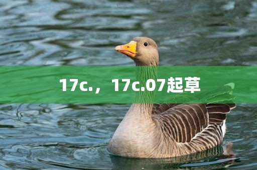 17c.，17c.07起草